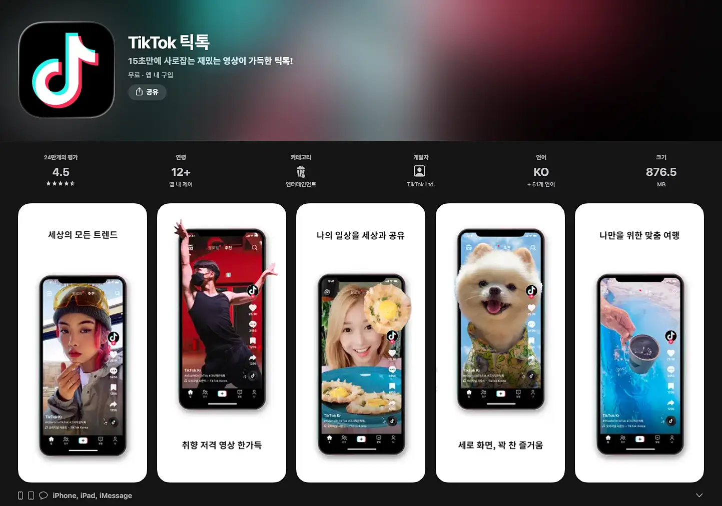 틱톡 광고, 사용자의 시선을 사로잡는 새로운 방식으로 변화한다 2 틱톡 다운로드 페이지 캡처
