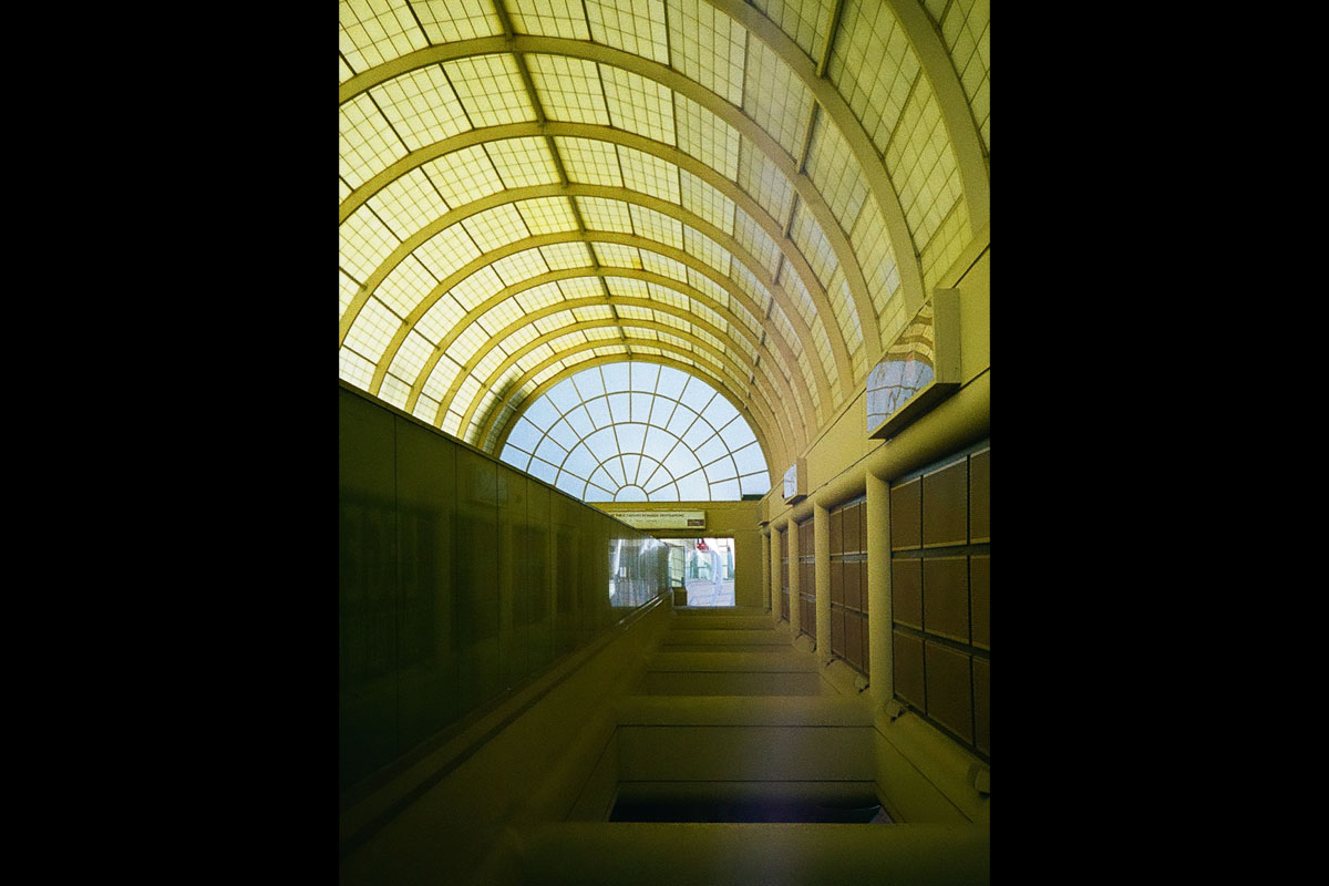 2026 필름 카메라 가이드: 아날로그의 역습, 지금 당장 소유해야 할 리스트 펜탁스 17 Film: Kodak Ektar 100 작례