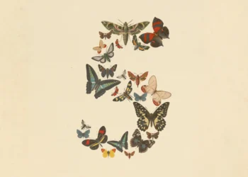 Claude Fable 5